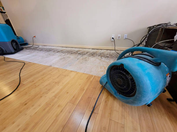 Professional Structural Drying technician working in Pawcatuck, CT